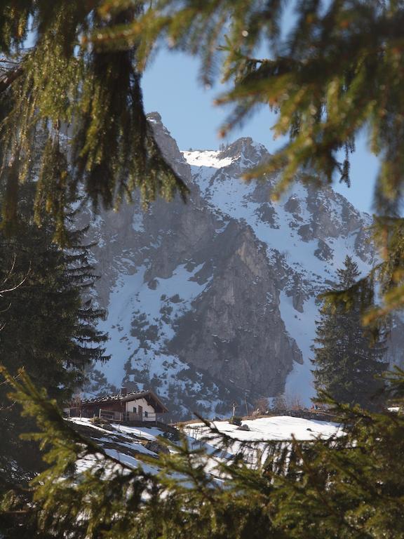 Alpenresidenz Chiemgau Apartment ชเลคิง ภายนอก รูปภาพ