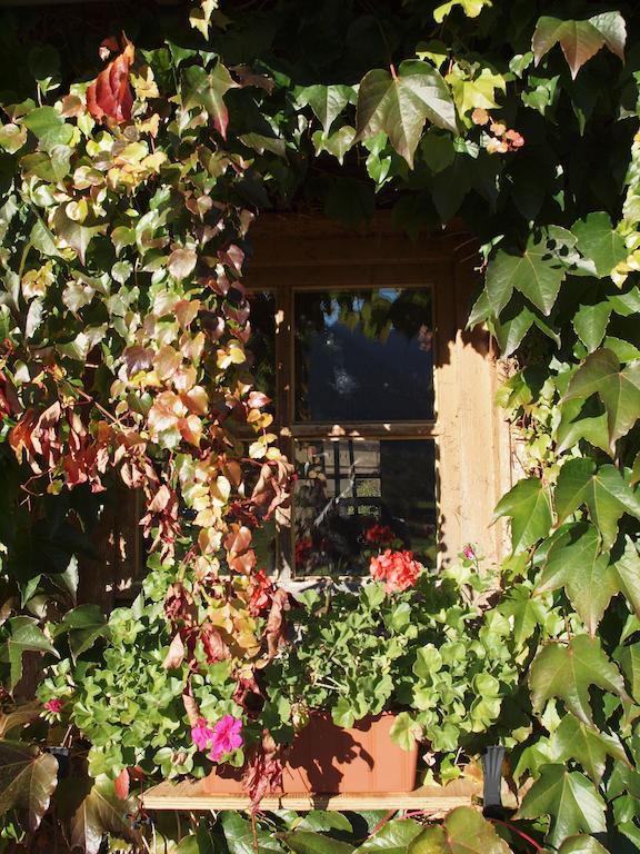 Alpenresidenz Chiemgau Apartment ชเลคิง ภายนอก รูปภาพ